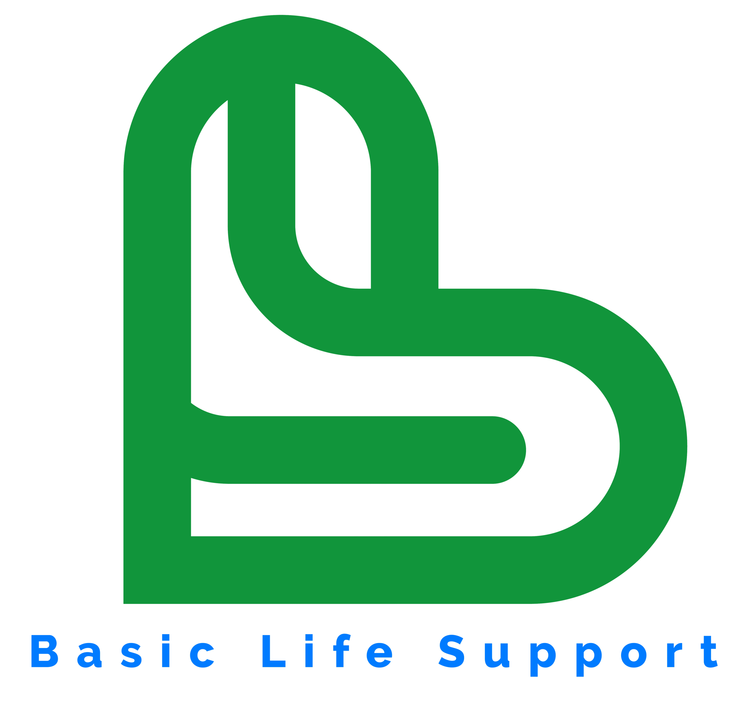 Imedica BLS